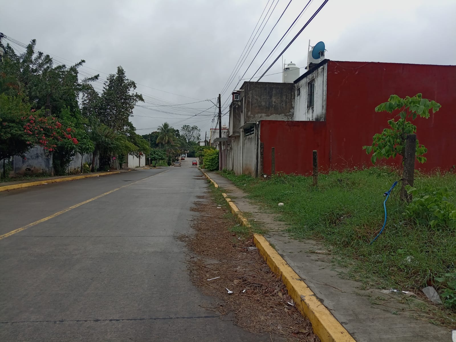 Terreno